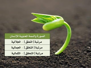 ْ‫هإلُطا‬ ِٞٙ٘‫املع‬ ٌٞ‫ٗاهط‬ ٝ‫اهص٘ز‬
ٞ‫ًستب‬‫ر‬‫اهتخقق‬‫د‬-ٞٚ‫اهلٌاه‬
ٞ‫ًستب‬‫ر‬‫ٍق‬‫و‬‫اهتع‬‫د‬-ٞٚ‫اُاله‬
ٞ‫ًستب‬‫ر‬‫ٍق‬‫و‬‫اهتد‬‫د‬-ٞٚ‫اٌُاه‬
 