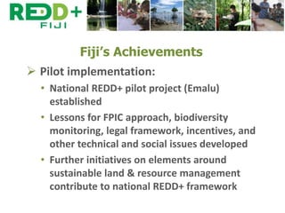 Future challenges in REDD+ for Fiji