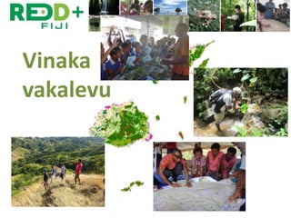 Future challenges in REDD+ for Fiji