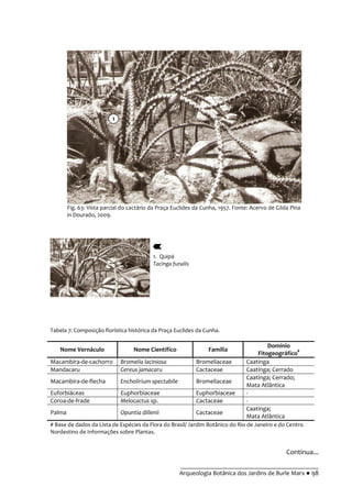 __________________________________________
Arqueologia Botânica dos Jardins de Burle Marx ● 98
Fig. 63: Vista parcial do cactário da Praça Euclides da Cunha, 1957. Fonte: Acervo de Gilda Pina
in Dourado, 2009.
Continua...
1. Quipá
Tacinga funalis
Tabela 7: Composição florística histórica da Praça Euclides da Cunha.
Nome Vernáculo Nome Científico Família
Domínio
Fitogeográfico#
Macambira-de-cachorro Bromelia laciniosa Bromeliaceae Caatinga
Mandacaru Cereus jamacaru Cactaceae Caatinga; Cerrado
Macambira-de-flecha Encholirium spectabile Bromeliaceae
Caatinga; Cerrado;
Mata Atlântica
Euforbiáceas Euphorbiaceae Euphorbiaceae -
Coroa-de-frade Melocactus sp. Cactaceae -
Palma Opuntia dillenii Cactaceae
Caatinga;
Mata Atlântica
# Base de dados da Lista de Espécies da Flora do Brasil/ Jardim Botânico do Rio de Janeiro e do Centro
Nordestino de Informações sobre Plantas.
1
 