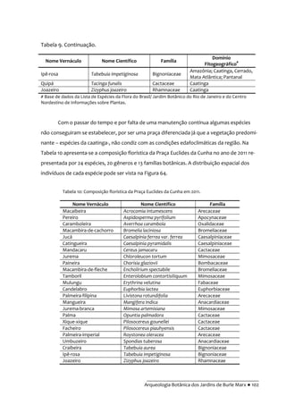 __________________________________________
Arqueologia Botânica dos Jardins de Burle Marx ● 102
Tabela 9. Continuação.
Nome Vernáculo Nome Científico Família
Domínio
Fitogeográfico#
Ipê-rosa Tabebuia impetiginosa Bignoniaceae
Amazônia; Caatinga, Cerrado,
Mata Atlântica; Pantanal
Quipá Tacinga funalis Cactaceae Caatinga
Joazeiro Zizyphus joazeiro Rhamnaceae Caatinga
# Base de dados da Lista de Espécies da Flora do Brasil/ Jardim Botânico do Rio de Janeiro e do Centro
Nordestino de Informações sobre Plantas.
Com o passar do tempo e por falta de uma manutenção contínua algumas espécies
não conseguiram se estabelecer, por ser uma praça diferenciada já que a vegetação predomi-
nante – espécies da caatinga-, não condiz com as condições edafoclimáticas da região. Na
Tabela 10 apresenta-se a composição florística da Praça Euclides da Cunha no ano de 2011 re-
presentada por 24 espécies, 20 gêneros e 13 famílias botânicas. A distribuição espacial dos
indivíduos de cada espécie pode ser vista na Figura 64.
Tabela 10: Composição florística da Praça Euclides da Cunha em 2011.
Nome Vernáculo Nome Científico Família
Macaibeira Acrocomia intumescens Arecaceae
Pereiro Aspidosperma pyrifolium Apocynaceae
Caramboleira Averrhoa carambola Oxalidaceae
Macambira-de-cachorro Bromelia laciniosa Bromeliaceae
Jucá Caesalpinia ferrea var. ferrea Caesalpiniaceae
Catingueira Caesalpinia pyramidalis Caesalpiniaceae
Mandacaru Cereus jamacaru Cactaceae
Jurema Chloroleucon tortum Mimosaceae
Paineira Chorisia glaziovii Bombacaceae
Macambira-de-fleche Encholirium spectabile Bromeliaceae
Tamboril Enterolobium contortisiliquum Mimosaceae
Mulungu Erythrina velutina Fabaceae
Candelabro Euphorbia lactea Euphorbiaceae
Palmeira-filipina Livistona rotundifolia Arecaceae
Mangueira Mangifera indica Anacardiaceae
Jurema-branca Mimosa artemisiana Mimosaceae
Palma Opuntia palmadora Cactaceae
Xique-xique Pilosocereus gounellei Cactaceae
Facheiro Pilosocereus piauhyensis Cactaceae
Palmeira-imperial Roystonea oleracea Arecaceae
Umbuzeiro Spondias tuberosa Anacardiaceae
Craibeira Tabebuia aurea Bignoniaceae
Ipê-rosa Tabebuia impetiginosa Bignoniaceae
Joazeiro Zizyphus joazeiro Rhamnaceae
 