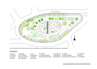 __________________________________________
Arqueologia Botânica dos Jardins de Burle Marx ● 103
Fig. 64: Planta baixa da Praça Euclides da Cunha onde pode-se ver a distribuição espacial dos indivíduos de cada espécie.
Especificação
1. Ipê-rosa 2. Mulungu 3. Jucá 4. Tamboril 5. Catingueira 6. Joazeiro 7. Umbuzeiro
8. Craibeira 9. Caramboleira 10. Mangueira 11. Palmeira-imperial 12. Macaibeira 13. Palmeira-filipina 14. Pereiro
15. Jurema 16. Jurema-branca 17. Paineira 18. Macambira-de-fleche 19. Mandacaru 20. Macambira-de-cachorro 21. Candelabro
22. Palma 23. Xique-xique 24. Facheiro
 