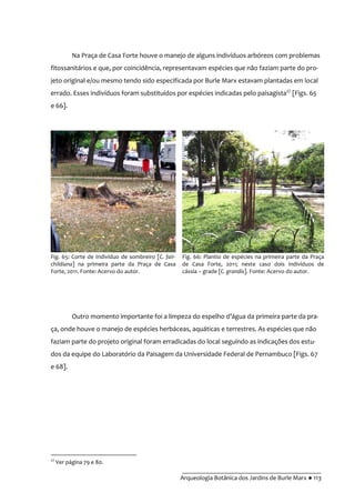 __________________________________________
Arqueologia Botânica dos Jardins de Burle Marx ● 113
Na Praça de Casa Forte houve o manejo de alguns indivíduos arbóreos com problemas
fitossanitários e que, por coincidência, representavam espécies que não faziam parte do pro-
jeto original e/ou mesmo tendo sido especificada por Burle Marx estavam plantadas em local
errado. Esses indivíduos foram substituídos por espécies indicadas pelo paisagista27
[Figs. 65
e 66].
Outro momento importante foi a limpeza do espelho d’|gua da primeira parte da pra-
ça, onde houve o manejo de espécies herbáceas, aquáticas e terrestres. As espécies que não
faziam parte do projeto original foram erradicadas do local seguindo as indicações dos estu-
dos da equipe do Laboratório da Paisagem da Universidade Federal de Pernambuco [Figs. 67
e 68].
27
Ver página 79 e 80.
Fig. 65: Corte de Indivíduo de sombreiro [C. fair-
childiana] na primeira parte da Praça de Casa
Forte, 2011. Fonte: Acervo do autor.
Fig. 66: Plantio de espécies na primeira parte da Praça
de Casa Forte, 2011; neste caso dois indivíduos de
cássia – grade [C. grandis]. Fonte: Acervo do autor.
 