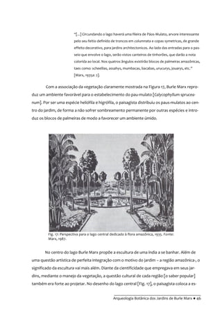 __________________________________________
Arqueologia Botânica dos Jardins de Burle Marx ● 46
“[...] Circundando o lago haverá uma fileira de Páos-Mulato, arvore interessante
pelo seu feitio definido de troncos em columnata e copas symetricas, de grande
effeito decorativo, para jardins architectonicos. Ao lado das entradas para o pas-
seio que envolve o lago, serão vistos canteiros de tinhorões, que darão a nota
colorida ao local. Nos quatros ângulos existirão blocos de palmeiras amazônicas,
taes como: scheellias, assahys, mumbacas, bacabas, urucurys, jouarys, etc.”
[Marx, 1935a: 2].
Com a associação da vegetação claramente mostrada na Figura 17, Burle Marx repro-
duz um ambiente favorável para o estabelecimento do pau-mulato [Calycophyllum sprucea-
num]. Por ser uma espécie heliófila e higrófila, o paisagista distribuiu os paus-mulatos ao cen-
tro do jardim, de forma a não sofrer sombreamento permanente por outras espécies e intro-
duz os blocos de palmeiras de modo a favorecer um ambiente úmido.
No centro do lago Burle Marx propõe a escultura de uma índia a se banhar. Além de
uma questão artística de perfeita integração com o motivo do jardim – a região amazônica-, o
significado da escultura vai mais além. Diante da cientificidade que empregava em seus jar-
dins, mediante o manejo da vegetação, a questão cultural de cada região [o saber popular]
também era forte ao projetar. No desenho do lago central [Fig. 17], o paisagista coloca a es-
Fig. 17: Perspectiva para o lago central dedicado à flora amazônica, 1935. Fonte:
Marx, 1987.
 
