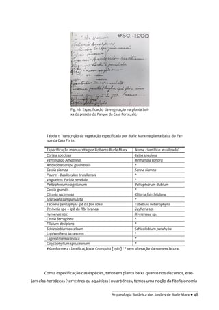 __________________________________________
Arqueologia Botânica dos Jardins de Burle Marx ● 48
Com a especificação das espécies, tanto em planta baixa quanto nos discursos, e se-
jam elas herbáceas [terrestres ou aquáticas] ou arbóreas, temos uma noção da fitofisionomia
Fig. 18: Especificação da vegetação na planta bai-
xa do projeto do Parque da Casa Forte, s/d.
Tabela 1: Transcrição da vegetação especificada por Burle Marx na planta baixa do Par-
que da Casa Forte.
Especificação manuscrita por Roberto Burle Marx Nome científico atualizado#
Corisia speciosa Ceiba speciosa
Ventosa do Amazonas Hernandia sonora
Andiroba Carapa guianensis *
Cassia siamea Senna siamea
Pau rei - Basiloxylon brasiliensis *
Visgueiro - Parkia pendula *
Peltophorum vogelianum Peltophorum dubium
Cassia grandis *
Clitoria racemosa Clitoria fairchildiana
Spatodea campanulata *
Tecoma pentaphyla ipê da flôr rôxa Tabebuia heterophylla
Zeyheria spc – ipê da flôr branca Zeyheria sp.
Hymenae spc Hymenaea sp.
Cassia ferruginea *
Filicium decipiens *
Schizolobium excelsum Schizolobium parahyba
Lophanthera lactescens *
Lagerstroemia indica *
Calycophyllum spruceanum *
# Conforme a classificação de Cronquist [1981] / * sem alteração da nomenclatura.
 