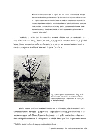 __________________________________________
Arqueologia Botânica dos Jardins de Burle Marx ● 62
As plantas utilizadas provêm da região, mas elas jamais tiveram direito de cida-
dania na prática paisagística da época. A maneira de as apresentar é decisiva pa-
ra a significação que elas terão no jardim. Burle Marx vai espalhar as cactáceas
recolhidas por ele na caatinga, individualmente, no meio dos rochedos. Elas apa-
recerão como se cada uma delas levasse, na sua solidão e na sua forma, a me-
mória do combate pela vida que teve no meio ambiente hostil onde cresceu
[2008:42; Grifo nosso]
Na Figura 34, temos uma vista parcial da praça no início de 1936 e, é interessante no-
tar o porte do mandacaru (1) [Cereus jamacaru], que já possuía o cladódio13
lenhoso, o que nos
leva a afirmar que os mesmos foram plantados na praça em sua fase adulta, assim como o-
correu com algumas espécies arbóreas na Praça de Casa Forte.
Com a criação de um jardim em área litorânea, onde a condição edafoclimática é to-
talmente diferente da região a que pertence a vegetação da caatinga, principalmente as cac-
táceas, consegue Burle Marx, não apenas introduzir a vegetação, mas também estabelecer
uma correspondência entre as condições do nicho que ela ocupa e suas exigências ecofisioló-
13
Cladódio: Caules regulares de algumas espécies de cactáceas.
Fig. 34: Vista parcial do cactário da Praça Eucli-
des da Cunha, em detalhe exemplares de Cacta-
ceae e Bromeliaceae. Fonte: Diario da Manhã, 16
de fevereiro de 1936.
1
 