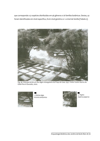 __________________________________________
Arqueologia Botânica dos Jardins de Burle Marx ● 70
que corresponde a 51 espécies distribuídas em 46 gêneros e 26 famílias botânicas. Destas, 42
foram identificadas em nível específico, 8 em nível genérico e 1 a nível de família [Tabela 2].
Fig. 36: Vista parcial de um dos lagos retangulares da Praça de Casa, 1937. Fonte: Fonte: Acervo de
Gilda Pina in Dourado, 2000.
1. Vitória-régia
Victoria amazonica
2. Papiro
Cyperus papyrus
2
1
 