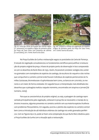 __________________________________________
Arqueologia Botânica dos Jardins de Burle Marx ● 114
Na Praça Euclides da Cunha a restauração seguiu os postulados da Carta de Florença.
O estudo da vegetação consubstanciou os fundamentos científicos para justificar a restaura-
ção do projeto original da praça. A base do projeto partiu da observação in loco comparando-
se com os desenhos de Burle Marx de 1935. Assim, foi possível constatar vestígios dos cantei-
ros gramados com exemplares de espécies da caatinga, da escultura do vaqueiro e das rochas
que compunham o canteiro central onde ficavam indivíduos de espécies pertencentes às Fa-
mílias Cactaceae, Bromeliaceae e Euphorbiaceae bem como, os bancos em concreto, os me-
nores e um maior de forma ondulada. Em seguida houve a interpretação mais detalhada dos
desenhos que o paisagista realizou naquele momento, encontrados em arquivos e jornais [Sá
Carneiro, 2009].
Para que as características do projeto original, ou seja, a paisagem da caatinga repre-
sentada principalmente pela vegetação, voltassem à praça fez-se necessário o manejo de 25
árvores invasoras, algumas presentes no canteiro central e em sua maioria espécies frutíferas
com problemas fitossanitários. Em seguida, ocorreu o plantio das espécies no canteiro central
bem como a introdução de 48 indivíduos arbóreos da caatinga nos anéis gramados periféri-
cos. Com as Figuras 69 e 70, pode-se fazer uma comparação do que Burle Marx idealizou para
a Praça Euclides da Cunha com a situação após a restauração.
Fig. 67: Uma das caixas de fixação das vitórias-régias
[V. amazonica] no espelho d’|gua da primeira parte
da Praça de Casa Forte com presença de salvínia
[S. auriculata], 2011. Fonte: Acervo do autor.
Fig. 68: Limpeza e manejo da vegetação do espelho
d’|gua da primeira parte da Praça de Casa Forte,
2011. Fonte: Acervo do autor.
 