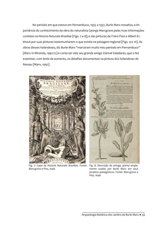 __________________________________________
Arqueologia Botânica dos Jardins de Burle Marx ● 34
No período em que esteve em Pernambuco, 1935 a 1937, Burle Marx ressaltou a im-
portância do conhecimento da obra do naturalista George Marcgrave pelas ricas informações
contidas na Historia Naturalis Brasiliae [Figs. 7 e 8]; e das pinturas de Frans Post e Albert Ec-
khout por suas pinturas testemunharem o que existia na paisagem regional [Figs. 9 e 10]. As
obras desses holandeses, diz Burle Marx “marcaram muito meu período em Pernambuco”
[Marx in Miranda, 1992:72] e conta ter sido seu grande amigo Clarival Valadares, que o fez
examinar, com lente de aumento, os detalhes documentais na pintura dos holandeses de
Nassau [Marx, 1992].
Fig. 7: Capa da Historia Naturalis Brasiliae. Fonte:
Marcgrave e Piso, 1648.
Fig. 8: Descrição da aninga, planta ampla-
mente usadas por Burle Marx em seus
projetos paisagísticos. Fonte: Marcgrave e
Piso, 1648.
 