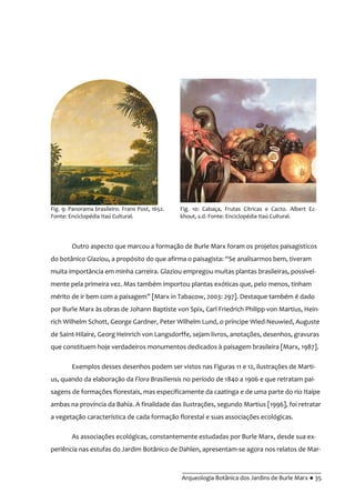 __________________________________________
Arqueologia Botânica dos Jardins de Burle Marx ● 35
Outro aspecto que marcou a formação de Burle Marx foram os projetos paisagísticos
do botânico Glaziou, a propósito do que afirma o paisagista: “Se analisarmos bem, tiveram
muita importância em minha carreira. Glaziou empregou muitas plantas brasileiras, possivel-
mente pela primeira vez. Mas também importou plantas exóticas que, pelo menos, tinham
mérito de ir bem com a paisagem” [Marx in Tabacow, 2003: 297]. Destaque também é dado
por Burle Marx às obras de Johann Baptiste von Spix, Carl Friedrich Philipp von Martius, Hein-
rich Wilhelm Schott, George Gardner, Peter Wilhelm Lund, o príncipe Wied-Neuwied, Auguste
de Saint-Hilaire, Georg Heinrich von Langsdorffe, sejam livros, anotações, desenhos, gravuras
que constituem hoje verdadeiros monumentos dedicados à paisagem brasileira [Marx, 1987].
Exemplos desses desenhos podem ser vistos nas Figuras 11 e 12, ilustrações de Marti-
us, quando da elaboração da Flora Brasiliensis no período de 1840 a 1906 e que retratam pai-
sagens de formações florestais, mas especificamente da caatinga e de uma parte do rio Itaípe
ambas na província da Bahia. A finalidade das ilustrações, segundo Martius [1996], foi retratar
a vegetação característica de cada formação florestal e suas associações ecológicas.
As associações ecológicas, constantemente estudadas por Burle Marx, desde sua ex-
periência nas estufas do Jardim Botânico de Dahlen, apresentam-se agora nos relatos de Mar-
Fig. 9: Panorama brasileiro. Frans Post, 1652.
Fonte: Enciclopédia Itaú Cultural.
Fig. 10: Cabaça, Frutas Cítricas e Cacto. Albert Ec-
khout, s.d. Fonte: Enciclopédia Itaú Cultural.
 
