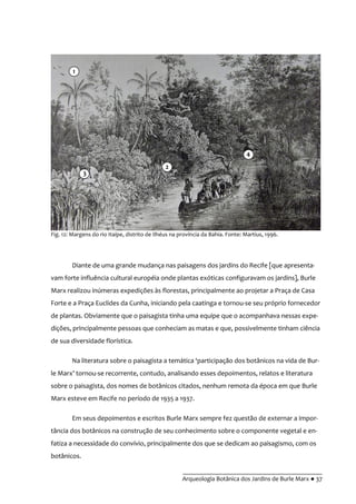 __________________________________________
Arqueologia Botânica dos Jardins de Burle Marx ● 37
Diante de uma grande mudança nas paisagens dos jardins do Recife [que apresenta-
vam forte influência cultural européia onde plantas exóticas configuravam os jardins], Burle
Marx realizou inúmeras expedições às florestas, principalmente ao projetar a Praça de Casa
Forte e a Praça Euclides da Cunha, iniciando pela caatinga e tornou-se seu próprio fornecedor
de plantas. Obviamente que o paisagista tinha uma equipe que o acompanhava nessas expe-
dições, principalmente pessoas que conheciam as matas e que, possivelmente tinham ciência
de sua diversidade florística.
Na literatura sobre o paisagista a tem|tica ‘participação dos botânicos na vida de Bur-
le Marx’ tornou-se recorrente, contudo, analisando esses depoimentos, relatos e literatura
sobre o paisagista, dos nomes de botânicos citados, nenhum remota da época em que Burle
Marx esteve em Recife no período de 1935 a 1937.
Em seus depoimentos e escritos Burle Marx sempre fez questão de externar a impor-
tância dos botânicos na construção de seu conhecimento sobre o componente vegetal e en-
fatiza a necessidade do convívio, principalmente dos que se dedicam ao paisagismo, com os
botânicos.
Fig. 12: Margens do rio Itaípe, distrito de Ilhéus na província da Bahia. Fonte: Martius, 1996.
1
2
3
4
 
