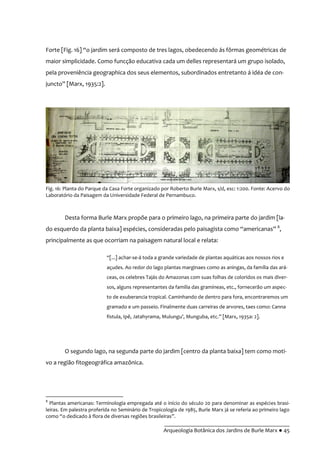__________________________________________
Arqueologia Botânica dos Jardins de Burle Marx ● 45
Forte [Fig. 16] “o jardim ser| composto de tres lagos, obedecendo |s fôrmas geométricas de
maior simplicidade. Como funcção educativa cada um delles representará um grupo isolado,
pela proveniência geographica dos seus elementos, subordinados entretanto á idéa de con-
juncto” [Marx, 1935:2].
Desta forma Burle Marx propõe para o primeiro lago, na primeira parte do jardim [la-
do esquerdo da planta baixa] espécies, consideradas pelo paisagista como “americanas” 8
,
principalmente as que ocorriam na paisagem natural local e relata:
“[...] achar-se-á toda a grande variedade de plantas aquáticas aos nossos rios e
açudes. Ao redor do lago plantas marginaes como as aningas, da família das ará-
ceas, os celebres Tajás do Amazonas com suas folhas de coloridos os mais diver-
sos, alguns representantes da familia das gramíneas, etc., fornecerão um aspec-
to de exuberancia tropical. Caminhando de dentro para fora, encontraremos um
gramado e um passeio. Finalmente duas carreiras de arvores, taes como: Canna
fistula, Ipê, Jatahyrama, Mulungu’, Munguba, etc.” [Marx, 1935a: 2].
O segundo lago, na segunda parte do jardim [centro da planta baixa] tem como moti-
vo a região fitogeográfica amazônica.
8
Plantas americanas: Terminologia empregada até o início do século 20 para denominar as espécies brasi-
leiras. Em palestra proferida no Seminário de Tropicologia de 1985, Burle Marx já se referia ao primeiro lago
como “o dedicado { flora de diversas regiões brasileiras”.
Fig. 16: Planta do Parque da Casa Forte organizado por Roberto Burle Marx, s/d, esc: 1:200. Fonte: Acervo do
Laboratório da Paisagem da Universidade Federal de Pernambuco.
 