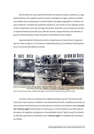 __________________________________________
Arqueologia Botânica dos Jardins de Burle Marx ● 51
Mesmo diante do vasto repertório florístico de espécies arbóreas e palmeiras, a vege-
tação herbácea, tanto aquática quanto terrestre, empregada nos lagos, canteiros e jardinei-
ras, também merece destaque por sua diversidade e abrangência geográfica. Conforme Jac-
ques Leenhardt “o domínio das superfícies aqu|ticas é, sem dúvida, um dos segredos de Bur-
le Marx” [Leenhardt, 2006: 28]. Nos lagos dos jardins, Burle Marx usa as bordas para introdu-
zir espécies herbáceas terrestres que, além de mostrar a riqueza florística, tem também se-
gundo Leenhardt [2006] a função de quebrar a linearidade de suas margens.
Algumas espécies herbáceas terrestres e aquáticas que ornamentavam os lagos po-
dem ser vistas na Figura 21. Em (1) temos a taioba [Alocasia sp.], (2) indivíduos de [Nymphaea
sp.] e em (3) cana-da-índia[Canna indica].
Contudo, chama-se a atenção, para a legenda da figura, que diz: “Na praça da Casa
Forte está o mais moderno e também o mais bello jardim do Recife. A prefeitura constróe, ali,
esse conjuncto admirável de que nos dão aspectos os clichês acima: Reparem bem o encanto
das “victorias regias” pela primeira vez abertas para o sol do Nordeste numa affirmação de
bom gosto, de elegância, de progresso, de sensibilidade artistica” [grifo nosso]. No entanto,
os indivíduos que foram considerados como “victorias regias” na realidade são exemplares
de ninféias.
Fig. 21: Praça de Casa Forte, detalhes dos lagos. Fonte: Diario da Manhã, 26 de janeiro de 1936.
1
2
3
 