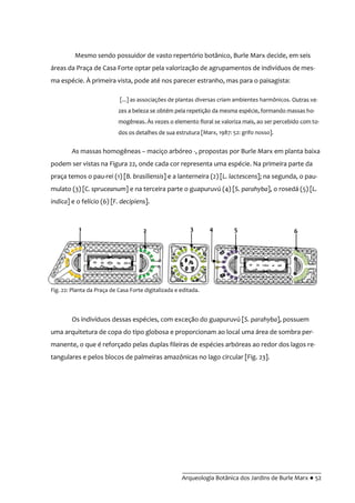 __________________________________________
Arqueologia Botânica dos Jardins de Burle Marx ● 52
Mesmo sendo possuidor de vasto repertório botânico, Burle Marx decide, em seis
áreas da Praça de Casa Forte optar pela valorização de agrupamentos de indivíduos de mes-
ma espécie. À primeira vista, pode até nos parecer estranho, mas para o paisagista:
[...] as associações de plantas diversas criam ambientes harmônicos. Outras ve-
zes a beleza se obtém pela repetição da mesma espécie, formando massas ho-
mogêneas. Às vezes o elemento floral se valoriza mais, ao ser percebido com to-
dos os detalhes de sua estrutura [Marx, 1987: 52: grifo nosso].
As massas homogêneas – maciço arbóreo -, propostas por Burle Marx em planta baixa
podem ser vistas na Figura 22, onde cada cor representa uma espécie. Na primeira parte da
praça temos o pau-rei (1) [B. brasiliensis] e a lanterneira (2) [L. lactescens]; na segunda, o pau-
mulato (3) [C. spruceanum] e na terceira parte o guapuruvú (4) [S. parahyba], o rosedá (5) [L.
indica] e o felício (6) [F. decipiens].
Os indivíduos dessas espécies, com exceção do guapuruvú [S. parahyba], possuem
uma arquitetura de copa do tipo globosa e proporcionam ao local uma área de sombra per-
manente, o que é reforçado pelas duplas fileiras de espécies arbóreas ao redor dos lagos re-
tangulares e pelos blocos de palmeiras amazônicas no lago circular [Fig. 23].
Fig. 22: Planta da Praça de Casa Forte digitalizada e editada.
5 63 421
 