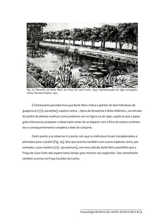 __________________________________________
Arqueologia Botânica dos Jardins de Burle Marx ● 53
É interessante percebermos que Burle Marx indica o plantio de dois indivíduos de
guapuruvú (1) [S. parahyba], espécie nativa -, típica da Amazônia e Mata Atlântica-, na entrada
do jardim de plantas exóticas como podemos ver na Figura 24 de 1940, supõe-se que o paisa-
gista intencionou preparar o observador antes de se deparar com a flora de outros continen-
tes e consequentemente completa a ideia de conjunto.
Outro ponto a se observar é o porte com que os indivíduos foram transplantados e
plantados para o jardim [Fig. 24], fato que ocorreu também com outras espécies como, por
exemplo, o pau-mulato (2) [C. spruceanum], com essa atitude Burle Marx possibilita que a
Praça de Casa Forte não espere tanto tempo para mostrar seu esplendor. Fato semelhante
também ocorreu na Praça Euclides da Cunha.
Fig. 23: Desenho de Burle Marx da Praça de Casa Forte, 1935; representação do lago retangular.
Fonte: Revista Projeto, 1991.
 