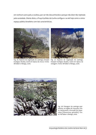 __________________________________________
Arqueologia Botânica dos Jardins de Burle Marx ● 57
em nenhum outro país; e exótica, por ser tão desconhecida e porque não dizer tão rejeitada
pela sociedade. Diante disto, a Praça Euclides da Cunha configura- se até hoje como o único
espaço público brasileiro com tais características.
Fig. 26: Aspecto da vegetação da caatinga, Estação
Ecológica Aiuaba, Ceará em época da chuva. Fonte:
Ab’S|ber e Marigo, 2006.
Fig. 27: Aspecto da vegetação da caatinga,
Estação Ecológica Aiuaba, Ceará em época da
estiagem. Fonte: Ab’S|ber e Marigo, 2006.
Fig. 28: Paisagem da caatinga espi-
nhenta, na região de Irauçuba, Cea-
rá, destacando a forração de xique-
xique [Pilosocereus gounellei]. Fon-
te: Ab’S|ber e Marigo, 2006.
 