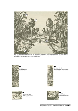 __________________________________________
Arqueologia Botânica dos Jardins de Burle Marx ● 73
Fig. 38: Desenho de Burle Marx da Praça de Casa Forte, 1935; representação do lago central
dedicado à flora amazônica. Fonte: Marx, 1987.
1. Açaí
Euterpe edulis
2. Pau-mulato
Calicophylum spruceanum
3. Vitória-régia
Victoria amazonica
4. Caládio
Caladium bicolor
4
1
3
2
 