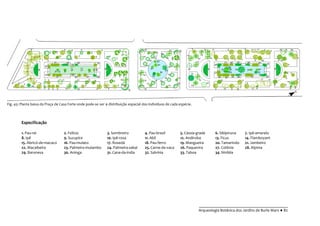 __________________________________________
Arqueologia Botânica dos Jardins de Burle Marx ● 82
Especificação
Fig. 45: Planta baixa da Praça de Casa Forte onde pode-se ver a distribuição espacial dos indivíduos de cada espécie.
1. Pau-rei 2. Felício 3. Sombreiro 4. Pau-brasil 5. Cássia-grade 6. Sibipiruna 7. Ipê-amarelo
8. Ipê 9. Sucupira 10. Ipê-rosa 11. Abil 12. Andiroba 13. Ficus 14. Flamboyant
15. Abricó-de-macaco 16. Pau-mulato 17. Rosedá 18. Pau-ferro 19. Mangueira 20. Tamarindo 21. Jambeiro
22. Macaibeira 23. Palmeira-mulambo 24. Palmeira-sabal 25. Carne-de-vaca 26. Paquevira 27. Colônia 28. Alpinia
29. Baronesa 30. Aninga 31. Cana-da-índia 32. Salvínia 33. Taboa 34. Ninféia
 