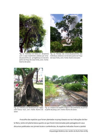 __________________________________________
Arqueologia Botânica dos Jardins de Burle Marx ● 89
Fig. 52: Indivíduo de felício [F. decipiens]
com a copa totalmente coberta por erva-
de-passarinho [S. syringifolius] na terceira
parte da Praça de Casa Forte, 2010. Fonte:
Acervo do autor.
Fig. 53: Manejo das ervas-de-passarinho dos
indivíduos arbóreos na terceira parte da Praça
de Casa Forte, 2010. Fonte: Acervo do autor.
Fig. 54: Indivíduo de flamboyant [D. regia]
com tronco ‘oco’, 2011. Fonte: Acervo do
autor.
Fig. 55: Limpeza do espelho d’|gua e das jardineiras da primei-
ra parte da praça, 2011. Fonte: Acervo do autor.
A escolha das espécies que foram plantadas na praça baseou-se nas indicações de Bur-
le Marx, tanto em planta baixa quanto as que foram mencionadas pelo paisagista em seus
discursos publicados nos jornais locais e conferências. As espécies indicadas foram o jatobá
 