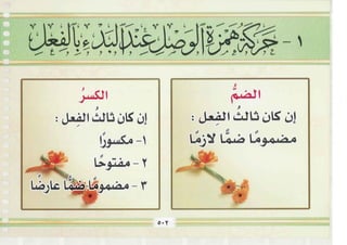 التجويد المصور أيمن رشدى سويد ج2 