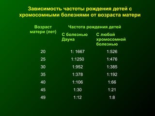 Зависимость частоты рождения детей с
хромосомными болезнями от возраста матери
Возраст
матери (лет)
Частота рождения детей
С болезнью
Дауна
С любой
хромосомной
болезнью
20 1: 1667 1:526
25 1:1250 1:476
30 1:952 1:385
35 1:378 1:192
40 1:106 1:66
45 1:30 1:21
49 1:12 1:8
 