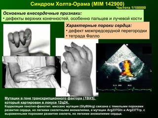 Синдром Холта-Орама (MIM 142900)
Основные внесердечные признаки:
• дефекты верхних конечностей, особенно пальцев и лучевой кости
Характерные пороки сердца:
• дефект межпредсердной перегородки
• тетрада Фалло
Мутации в гене транскрипционного фактора (TBX5),
который картирован в локусе 12q24.
Корреляция генотип-фенотип: миссенс мутация (Gly80Arg) связана с тяжелыми пороками
развития сердца, но легкими скелетными аномалиями, а мутации Arg237Gln и Arg237Trp, с
выраженными пороками развития скелета, но легкими аномалиями сердца.
Частота 1/100000
 