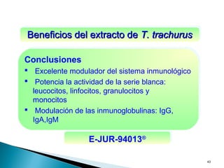 43
Conclusiones
 Excelente modulador del sistema inmunológico
 Potencia la actividad de la serie blanca:
leucocitos, linfocitos, granulocitos y
monocitos
 Modulación de las inmunoglobulinas: IgG,
IgA,IgM
Conclusiones
 Excelente modulador del sistema inmunológico
 Potencia la actividad de la serie blanca:
leucocitos, linfocitos, granulocitos y
monocitos
 Modulación de las inmunoglobulinas: IgG,
IgA,IgM
Beneficios del extracto deBeneficios del extracto de T. trachurusT. trachurusBeneficios del extracto deBeneficios del extracto de T. trachurusT. trachurus
E-JUR-94013®
E-JUR-94013®
 