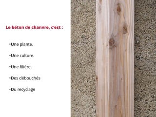 Le béton de chanvre, c’est :
•Une plante.
•Une culture.
•Une ﬁlière.
•Des débouchés
•Du recyclage
 