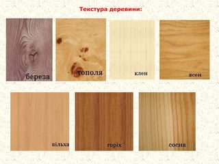 Текстура деревини:
 