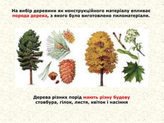 На вибір деревини як конструкційного матеріалу впливає
порода дерева, з якого було виготовлено пиломатеріали.
Дерева різних порід мають різну будову
стовбура, гілок, листя, квіток і насіння
 
