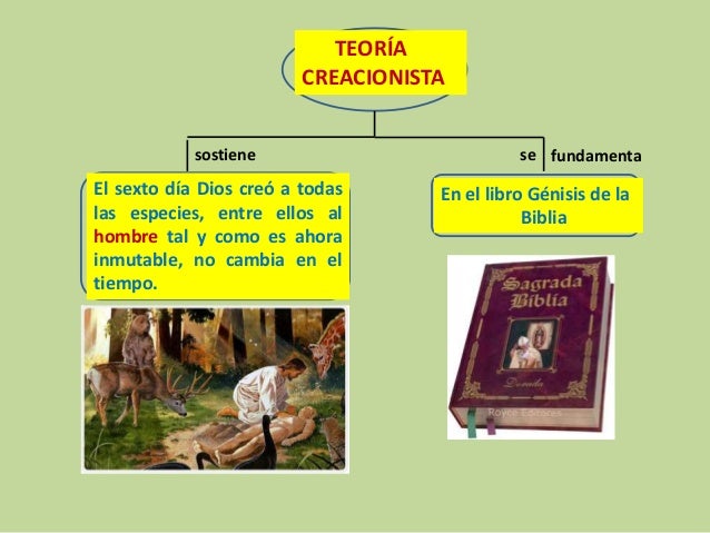 2. Teorías sobre el orígen del hombre