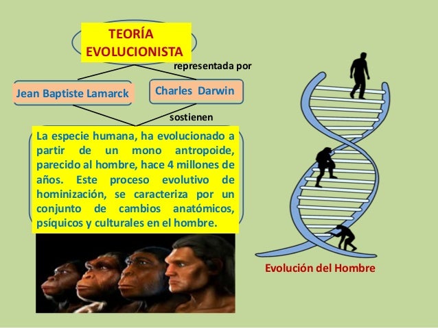 2. Teorías sobre el orígen del hombre