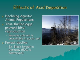 Effects of Acid Deposition
o Declining Aquatic
Animal Populations
o Thin-shelled eggs
prevent bird
reproduction
• Because calcium is
unavailable in acidic soil
o Forest decline
• Ex: Black forest in
Germany (50% is
destroyed)
 