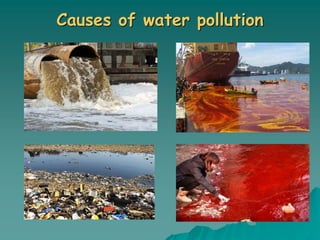 Causes of water pollution
 