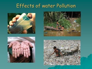 Effects of water Pollution
 