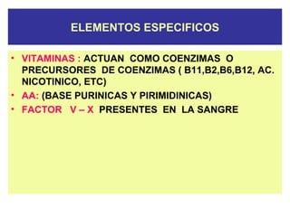 ELEMENTOS ESPECIFICOS
• VITAMINAS : ACTUAN COMO COENZIMAS O
PRECURSORES DE COENZIMAS ( B11,B2,B6,B12, AC.
NICOTINICO, ETC)
• AA: (BASE PURINICAS Y PIRIMIDINICAS)
• FACTOR V – X PRESENTES EN LA SANGRE
 