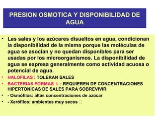 PRESION OSMOTICA Y DISPONIBILIDAD DE
AGUA
• Las sales y los azúcares disueltos en agua, condicionan
la disponibilidad de la misma porque las moléculas de
agua se asocian y no quedan disponibles para ser
usadas por los microorganismos. La disponibilidad de
agua se expresa generalmente como actividad acuosa o
potencial de agua.
• HALOFILAS : TOLERAN SALES
• BACTERIAS FORMAS L : REQUIEREN DE CONCENTRACIONES
HIPERTONICAS DE SALES PARA SOBREVIVIR
• - Osmófilos: altas concentraciones de azúcar
• - Xerófilos: ambientes muy secos 
 