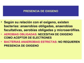 PRESENCIA DE OXIGENO
• Según su relación con el oxígeno, existen
bacterias: anaerobias obligadas, anaerobias
facultativas, aerobias obligadas y microaerófilas.
• AEROBIAS OBLIGADAS: NECESITAN DE OXIGENO
COMO ACEPTOR DE ELECTRONES
• BACTERIAS ANAEROBIAS ESTRICTAS: NO REQUIEREN
PRESENCIA DE OXIGENO
 