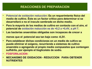 REACCIONES DE PREPARACION
• Potencial de oxidación reducción: Es un requerimiento físico del
medio de cultivo. Éste es un factor crítico para determinar si se
desarrollará o no el inoculo sembrado en dicho medio.
• Para la mayoría de los medios de cultivo en contacto con el aire, el
potencial de oxidación reducción es de +0,2 a +0,4V, a pH 7.
• Las bacterias anaerobias obligadas son incapaces de crecer a
menos que el potencial sea tan bajo como -0,2V.
• Para establecer dichas condiciones en un medio de cultivo se
puede eliminar el oxígeno, recurriendo a sistemas de cultivo
anaerobio o agregando al propio medio compuestos que contengan
sulfidrilo, por ejemplo el tioglicolato de sodio.
• FOSFORILACION:
• MECANISMO DE OXIDACION - REDUCCION PARA OBTENER
NUTRIENTES
 