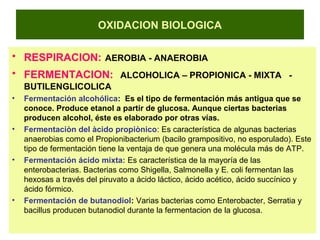 OXIDACION BIOLOGICA
• RESPIRACION: AEROBIA - ANAEROBIA
• FERMENTACION: ALCOHOLICA – PROPIONICA - MIXTA -
BUTILENGLICOLICA
• Fermentación alcohólica: Es el tipo de fermentación más antigua que se
conoce. Produce etanol a partir de glucosa. Aunque ciertas bacterias
producen alcohol, éste es elaborado por otras vías.
• Fermentaciòn del àcido propiònico: Es característica de algunas bacterias
anaerobias como el Propionibacterium (bacilo grampositivo, no esporulado). Este
tipo de fermentación tiene la ventaja de que genera una molécula más de ATP.
• Fermentación ácido mixta: Es característica de la mayoría de las
enterobacterias. Bacterias como Shigella, Salmonella y E. coli fermentan las
hexosas a través del piruvato a ácido láctico, ácido acético, ácido succínico y
ácido fórmico.
• Fermentación de butanodiol: Varias bacterias como Enterobacter, Serratia y
bacillus producen butanodiol durante la fermentacion de la glucosa.
 