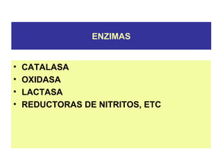 ENZIMAS
• CATALASA
• OXIDASA
• LACTASA
• REDUCTORAS DE NITRITOS, ETC
 