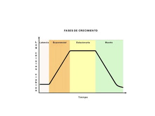 fisiologia bacteriana