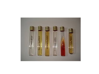 fisiologia bacteriana