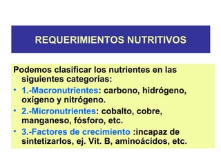 REQUERIMIENTOS NUTRITIVOS
Podemos clasificar los nutrientes en las
siguientes categorías:
• 1.-Macronutrientes: carbono, hidrógeno,
oxígeno y nitrógeno.
• 2.-Micronutrientes: cobalto, cobre,
manganeso, fósforo, etc.
• 3.-Factores de crecimiento :incapaz de
sintetizarlos, ej. Vit. B, aminoácidos, etc.
 
