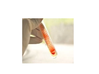 fisiologia bacteriana