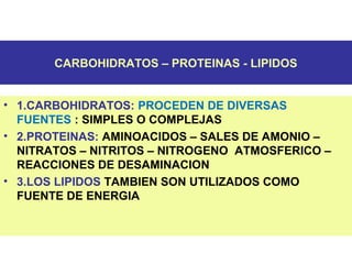 CARBOHIDRATOS – PROTEINAS - LIPIDOS
• 1.CARBOHIDRATOS: PROCEDEN DE DIVERSAS
FUENTES : SIMPLES O COMPLEJAS
• 2.PROTEINAS: AMINOACIDOS – SALES DE AMONIO –
NITRATOS – NITRITOS – NITROGENO ATMOSFERICO –
REACCIONES DE DESAMINACION
• 3.LOS LIPIDOS TAMBIEN SON UTILIZADOS COMO
FUENTE DE ENERGIA
 