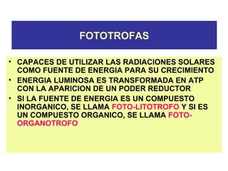 FOTOTROFAS
• CAPACES DE UTILIZAR LAS RADIACIONES SOLARES
COMO FUENTE DE ENERGIA PARA SU CRECIMIENTO
• ENERGIA LUMINOSA ES TRANSFORMADA EN ATP
CON LA APARICION DE UN PODER REDUCTOR
• SI LA FUENTE DE ENERGIA ES UN COMPUESTO
INORGANICO, SE LLAMA FOTO-LITOTROFO Y SI ES
UN COMPUESTO ORGANICO, SE LLAMA FOTO-
ORGANOTROFO
 