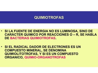 QUIMIOTROFAS
• SI LA FUENTE DE ENERGIA NO ES LUMINOSA, SINO DE
CARÁCTER QUIMICO POR REACCIONES O – R, SE HABLA
DE BACTERIAS QUIMIOTROFAS.
• SI EL RADICAL DADOR DE ELECTRONES ES UN
COMPUESTO MINERAL, SE DENOMINA
QUIMIOLITOTROFAS, Y SI ES UN COMPUESTO
ORGANICO, QUIMIO-ORGANOTROFAS
 