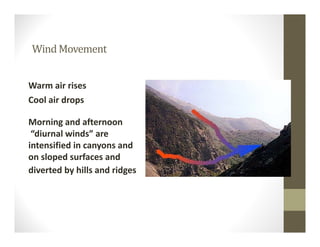Warm air rises
Cool air drops
Morning and afternoon
“diurnal winds” are 
intensified in canyons and 
on sloped surfaces and 
diverted by hills and ridges
WindMovement
 