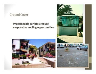 Ground Cover
Impermeable surfaces reduce 
evaporative cooling opportunities
 